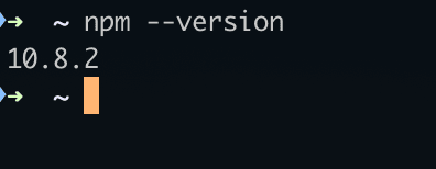 npm version